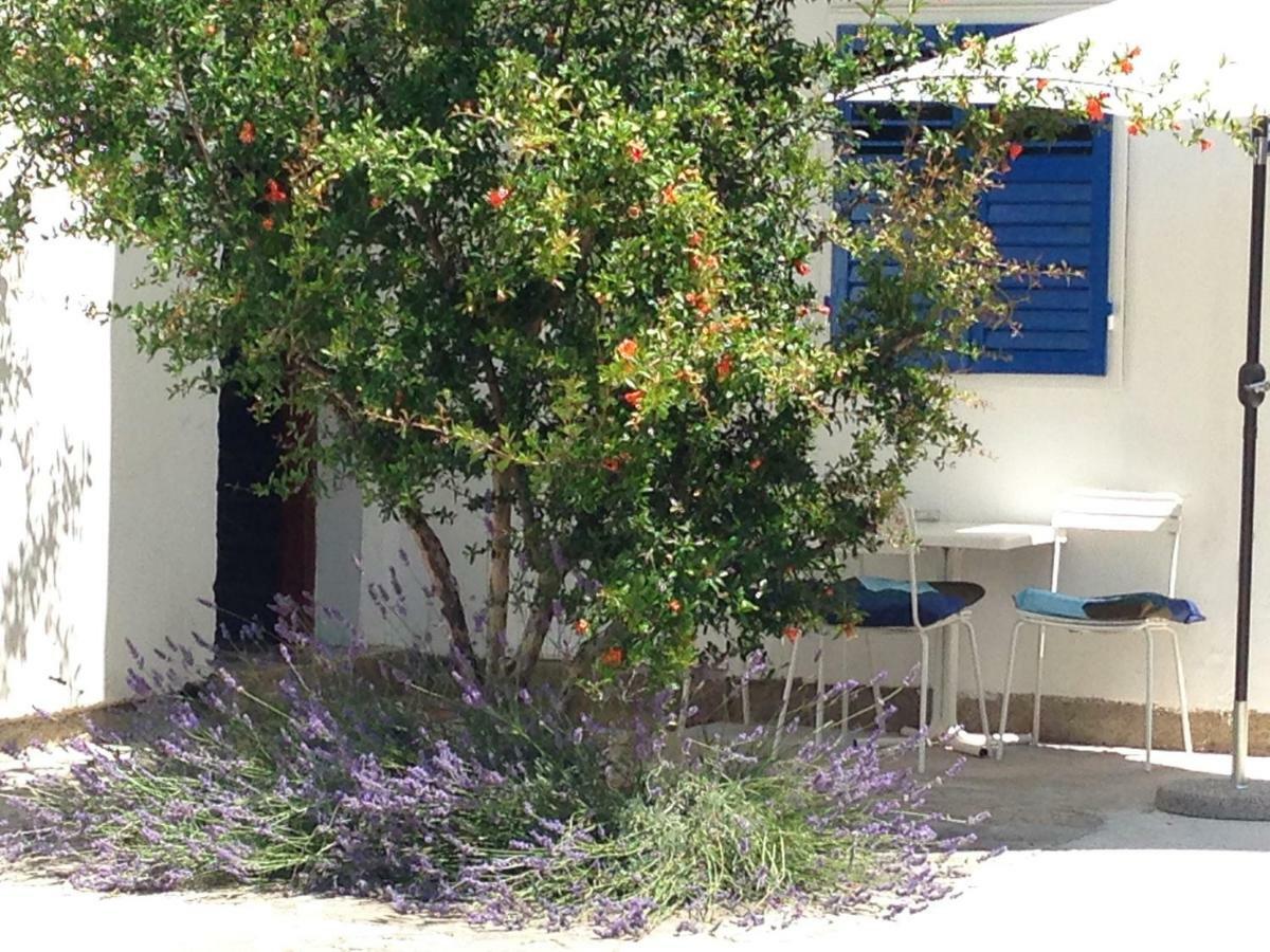 Studio Apartment Blue Window Biograd na Moru Kültér fotó